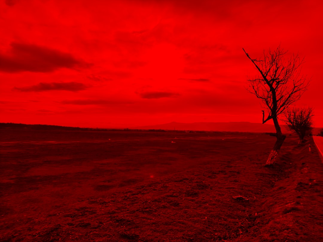 Photo red color